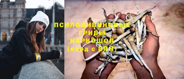 дурь Алексин