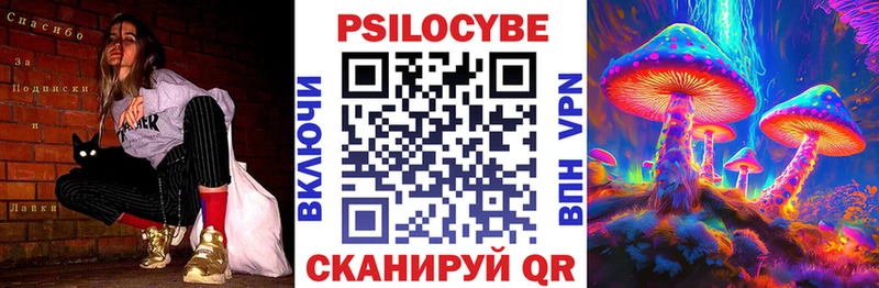 Псилоцибиновые грибы Psilocybine cubensis  Старая Русса 