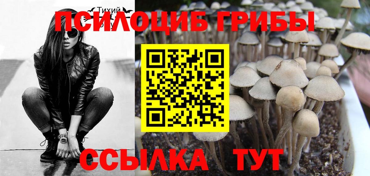 Галлюциногенные грибы GOLDEN TEACHER  Галлюциногенные грибы Psilocybe  Вход с VPN  что такое   Старая Русса 